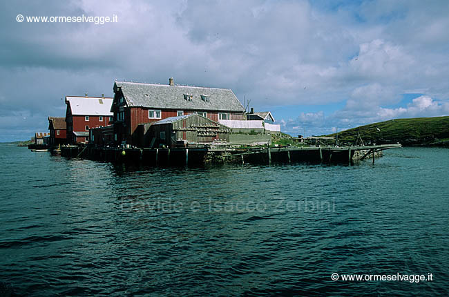 Rorbuer e gabbiani 14-25-00